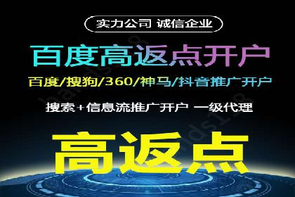 成功案例分享：SEM推广策略的制定与执行